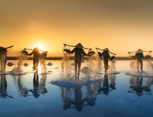 Qué ver en Ninh Binh (Vietnam)