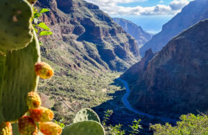 Barranco guayadeque gran canaria